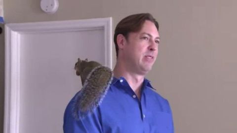 Ryan Boylan de Clearwater Beach, Florida y su mascota de soporte emocional, una ardilla llamada Brutis.