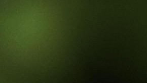 Un policía muestra el uso de una pistola taser durante un ejercicio.