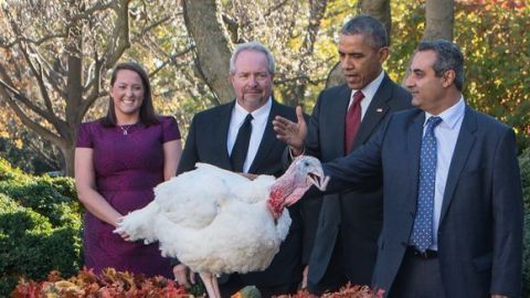 El presidente Obama "perdona" el Día de Acción de Gracias nacional en el Rose Garden en la Casa Blanca en Washington, D.C., el 25 de noviembre de 2015.