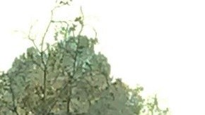 La policía se enfrenta al sospechoso, atrincherado en el vehículo blanco.