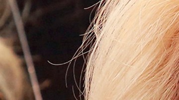 Yuri insistió en sus comentarios sobre Yaltiza.