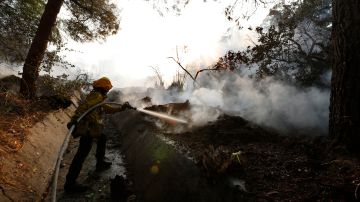 Un bombero lucha contra las llamas del Incendio Skirball. (Aurelia Ventura/ La Opinion)