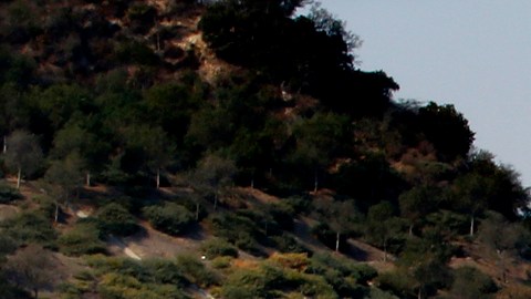 Skirball Fire