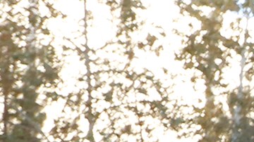 Un Papá Noel saluda a niños en Los Ángeles.
(Aurelia Ventura/La Opinion)