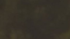 El incendio Thomas que comenzó el 4 de diciembre en California. EFE