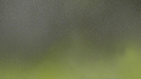 Ola de violencia