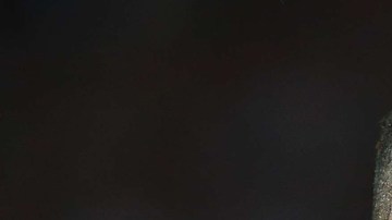 El delantero peruano Paolo Guerrero fue suspendido un año por la FIFA