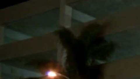 Las autoridades acordonaron la zona alrededor del estacionamiento.