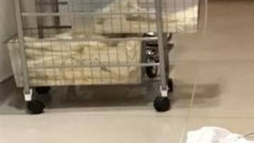 La pequeña McKenzie Garrison lucha contra una grave enfermedad de médula osea.