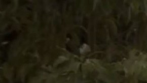 Las autoridades acordonaron la escena del crimen.