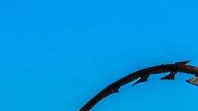 Temen que el conflicto Israel-Palestina provoque un aumento de los incidentes de odio en EE UU. (Pixabay)