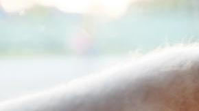 Accidentes de tránsito por conductores ebrios. /Shutterstock