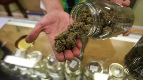 Marihuana para uso recreativo. / Foto: Getty Images