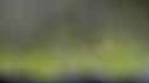 Se vive episodio de violencia en Celaya