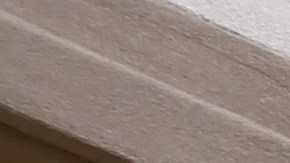 La movilización de los empleados de CVS se motivo tras el asesinato de un trabajador de una farmacia Rite Aid.