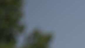 La velocidad a la que rodaba te sorprenderá.