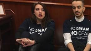 Activistas de "Our Dream" fueron arrestados en la oficina del senador Schumer Foto: suministrada