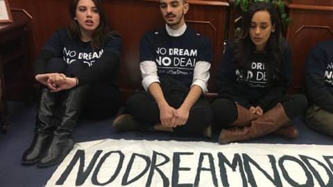 Activistas de "Our Dream" fueron arrestados en la oficina del senador Schumer Foto: suministrada