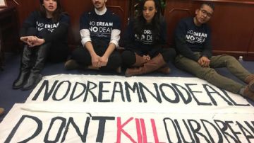 Activistas de "Our Dream" fueron arrestados en la oficina del senador Schumer Foto: suministrada