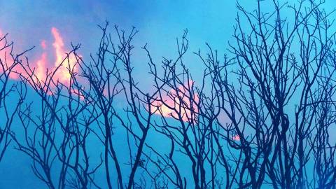 Le llaman el fuego “Thomas” y está presente en los condados de Santa Bárbara y Ventura.