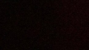 A Trump y todo su equipo le ofrecieron acceso a los documentos pirateados de Wikileaks