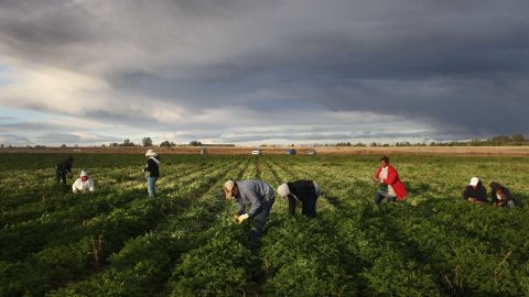 Las detenciones de migrantes ocurren más en zonas agrícolas, como el Valle Central, que en LA.