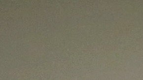 Director de USCIS quiere acabar, al igual que Trump, con la inmigración en cadena