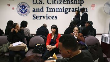 Director de USCIS quiere acabar, al igual que Trump, con la inmigración en cadena
