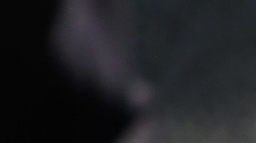 Pilotos alemanes se niegan a participar de la deportaciones de inmigrantes y refugiados