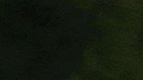 El escritor británico Philip Pullman junto a Dana, el lemur. (MJ Kim/Getty Images)