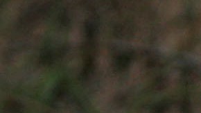 Se publicó el informe de la Comisión Nacional de Derechos Humanos de México