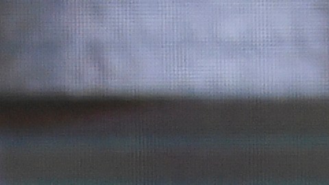 Sheriff del condado de Dallas, Lupe Valdez se lanza a la gobernación de Texas para defender a inmigrantes