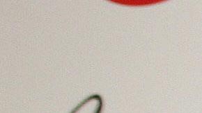 Desde ya se preparan protestas para el primer aniversario del gobierno de Trump