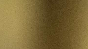 Melania ha ordenado retirar una magnolia histórica que decora la fachada de la Casa Blanca desde 1800