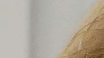 Trump y Putin dialogaron vía telefónica.MIKHAIL KLIMENTYEV/AFP/Getty Images