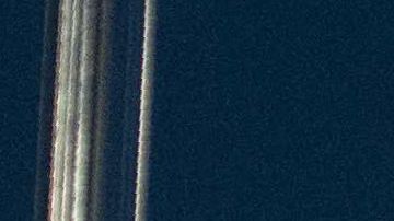 Trump celebra su primer año de gobierno dejando a miles de inmigrantes en el limbo migratorio