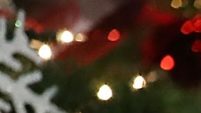 Melania Trump rompe el protocolo