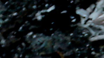 La decisión de Trump de reconocer a Jerusalem como capital de Israel llevó a la cancelación