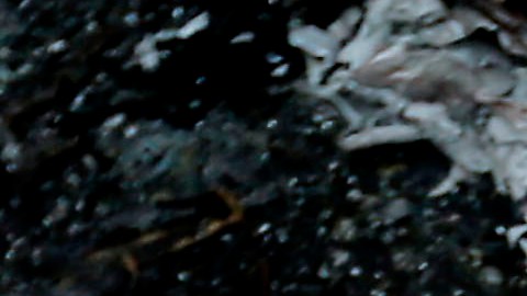 La decisión de Trump de reconocer a Jerusalem como capital de Israel llevó a la cancelación