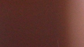 Maria Conchita Alonso.