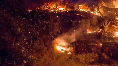 Las llaman consumen la zona sur de California.