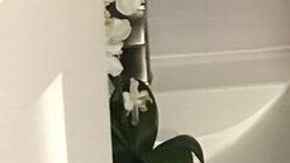 Espacio donde se encontraba el toilet de Charlie Villanueva, que fue robado por unos ladrones.