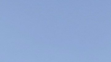 El defensa español Alejandro Arribas llegó a Pumas UNAM