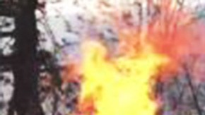 Cientos de bomberos combaten las llamas que están más vivas que nunca.