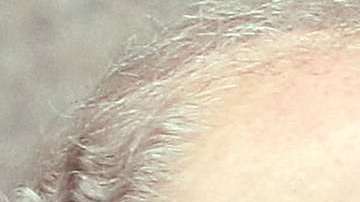 John Dowd, abogado del presidente Trump.