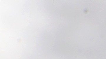 U.S. Border Agents Pursue Human And Drug Smugglers Near Mexican Border