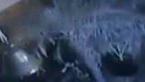 La familia afectada declaró que no tiene idea quien puede querer hacerles daño.