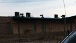 No se ha revelado la identidad de la víctima, pero se sabe que fue apuñalada varias veces.