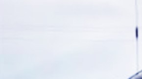 Autoridades piden ayuda de la comunidad para obtener información que de luz a este caso.