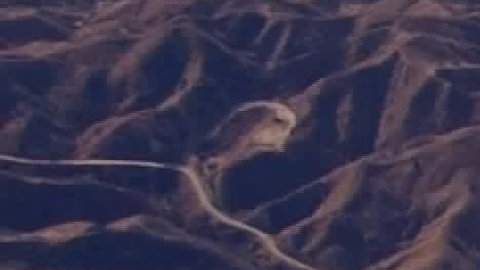 Vista aérea del "Incendio Rye".